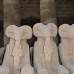 temple_karnak_lux_v_0232_egy1659.jpg